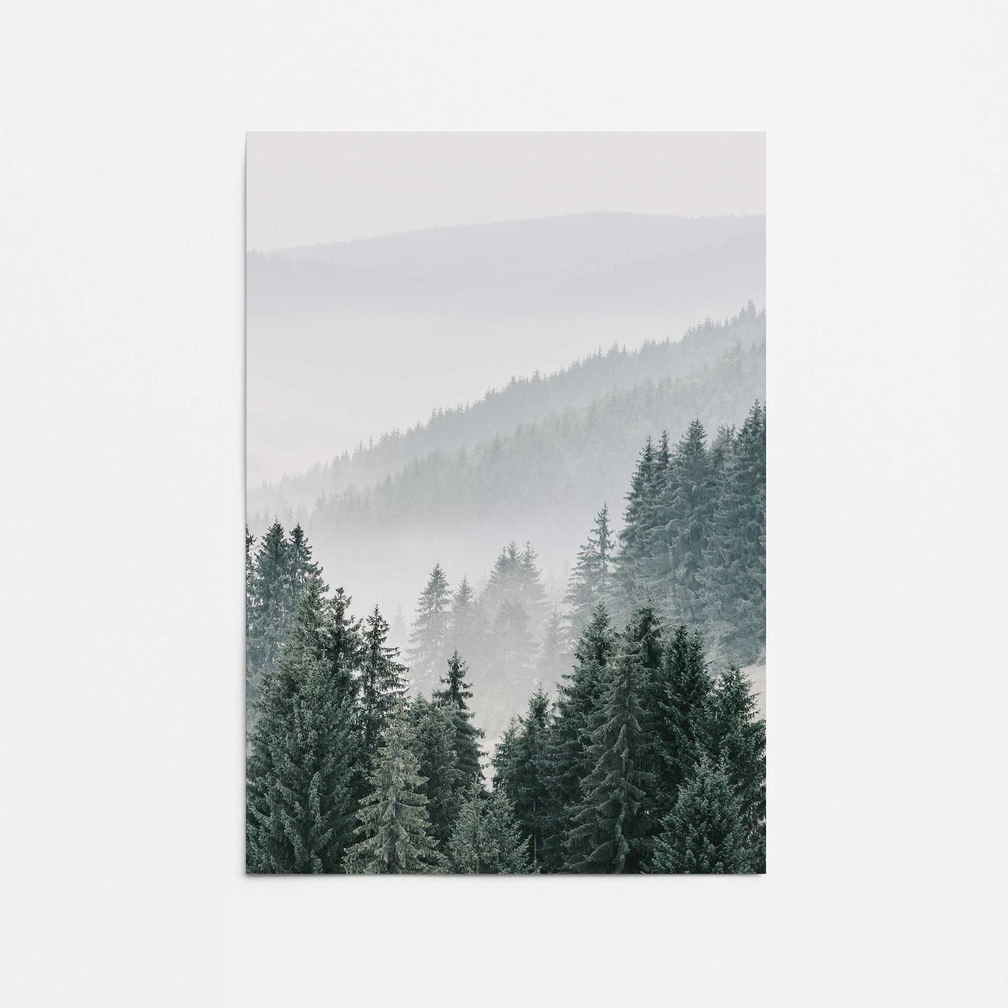 Enchanted Peaks Promotional Rolled Print