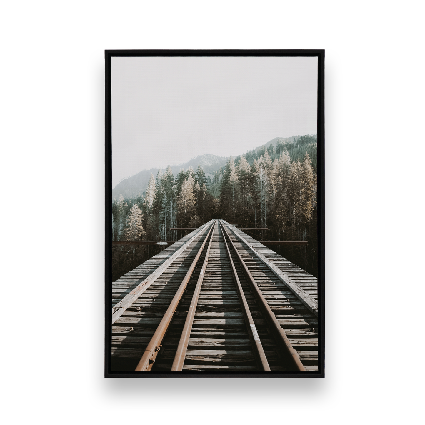 [Color:Satin Black],[SPECIAL], Front image of the art