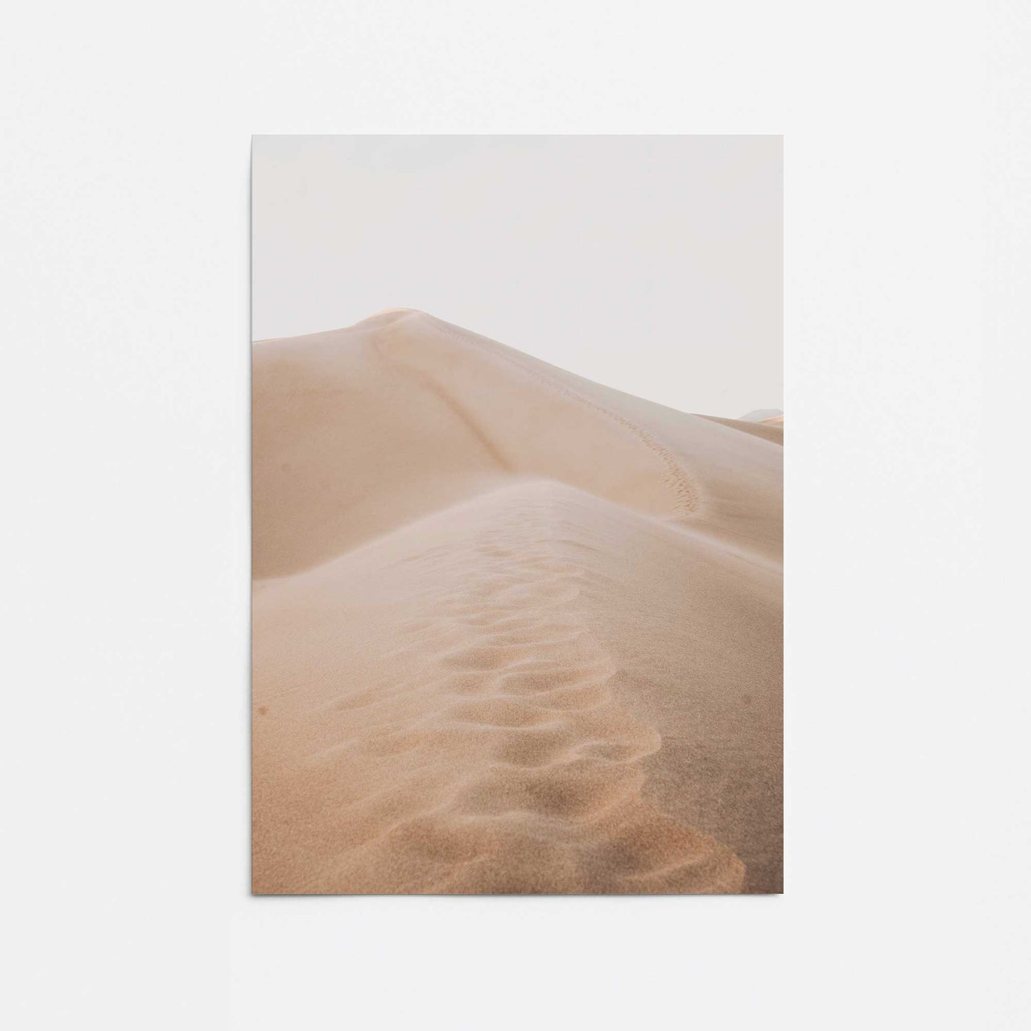 Endless Trails Promotional Rolled Print