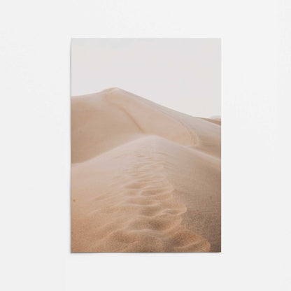 Endless Trails Promotional Rolled Print