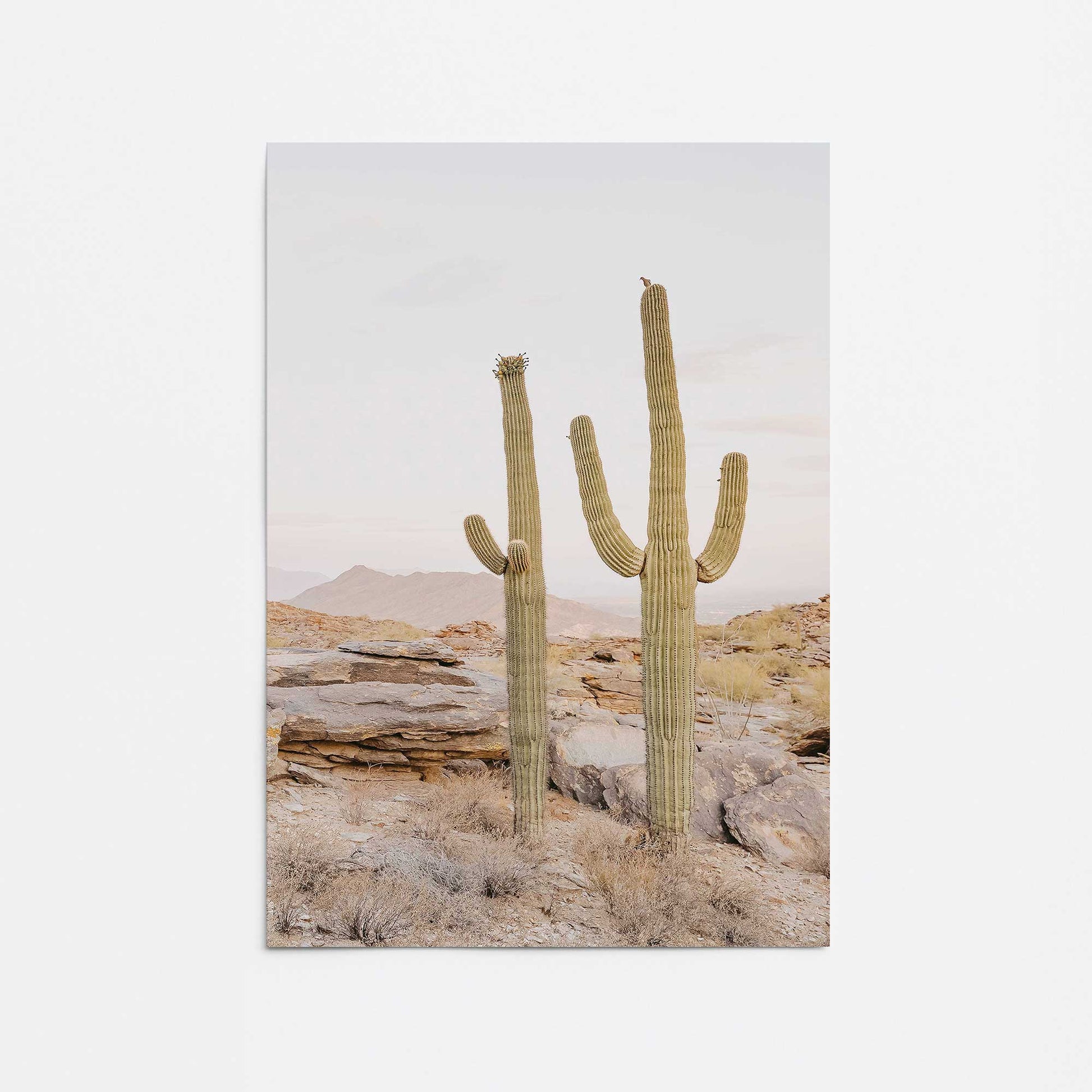 [color:Rolled Print], Picture of art
