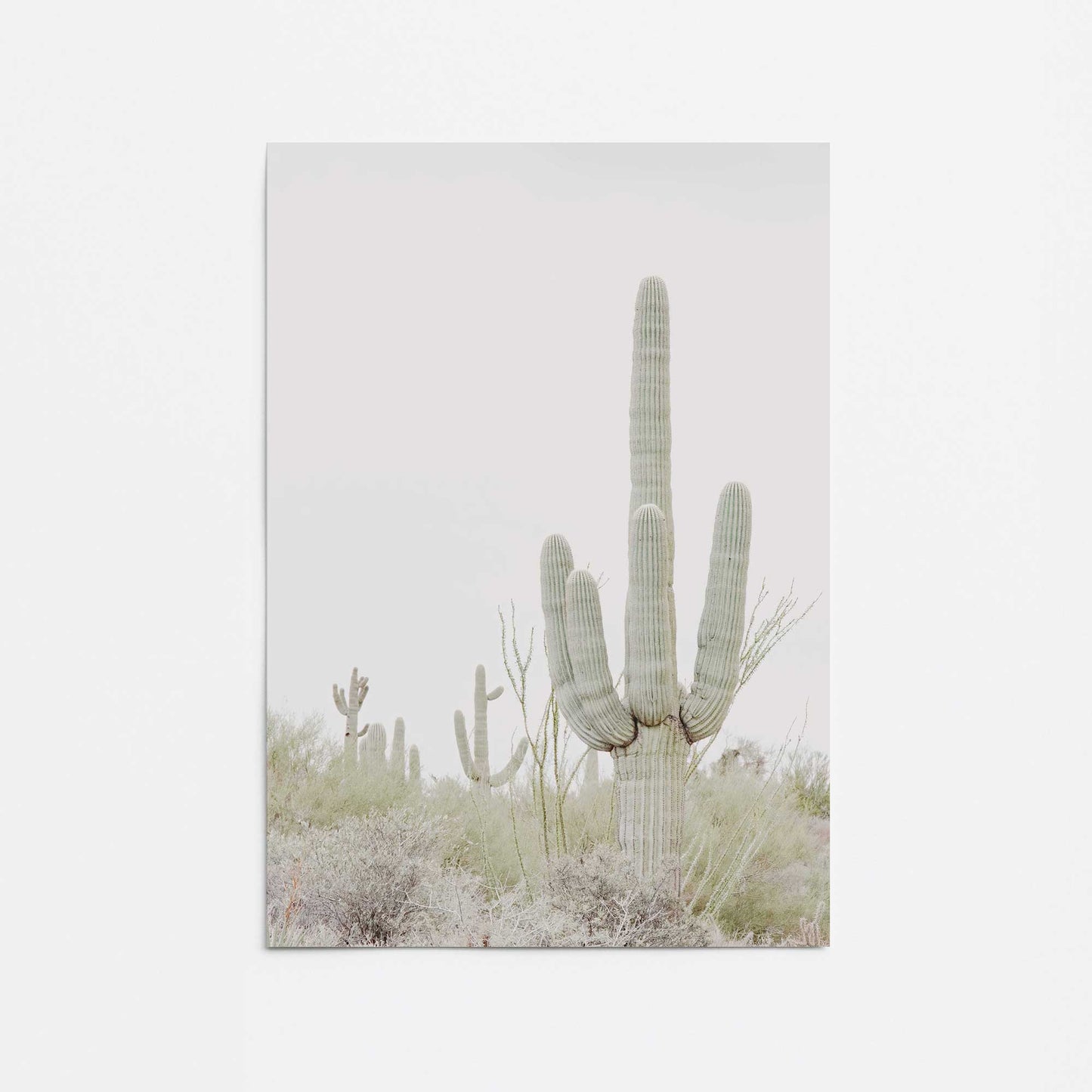 [color:Rolled Print], Picture of art