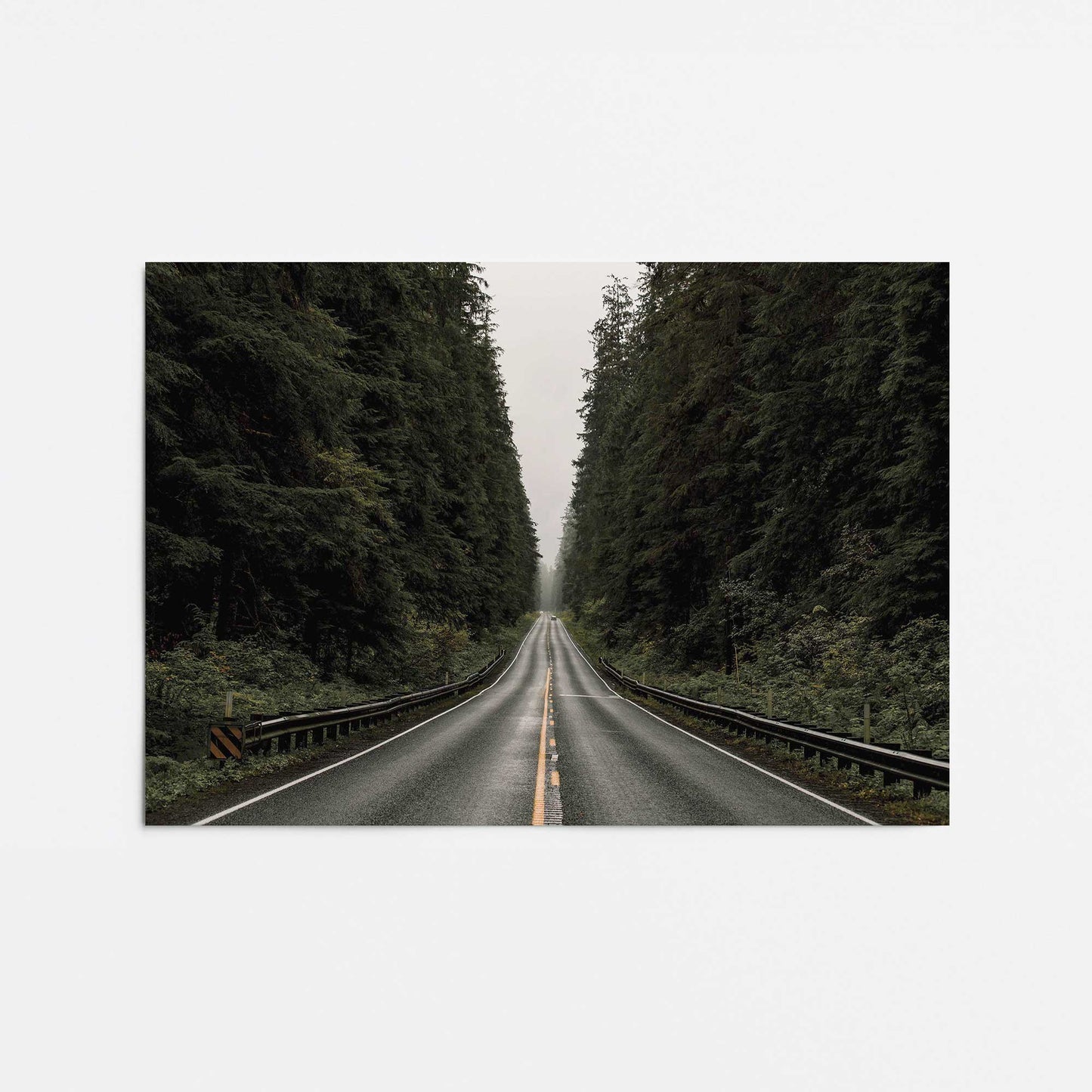 Forest Road Print Promotional Rolled Print