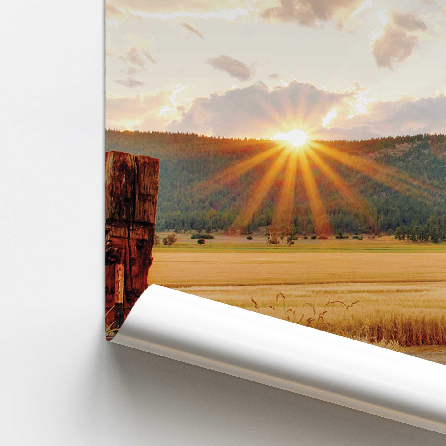 [color:Rolled Print], Picture of close up of art