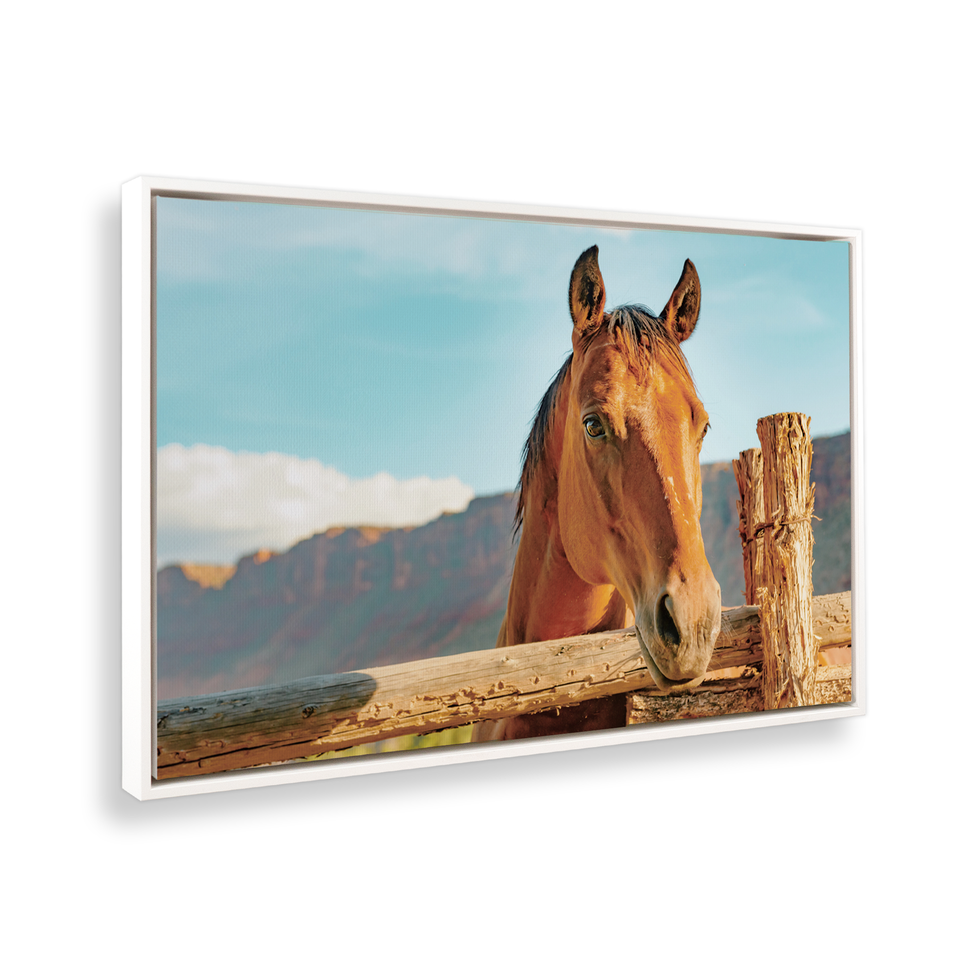 [color:Satin White], Picture of art in frame