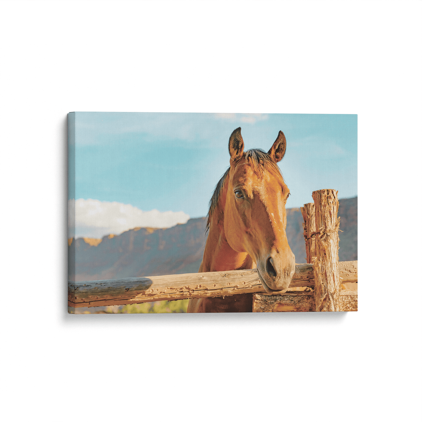 [color:Stretched Canvas], Picture of art on Canvas Side