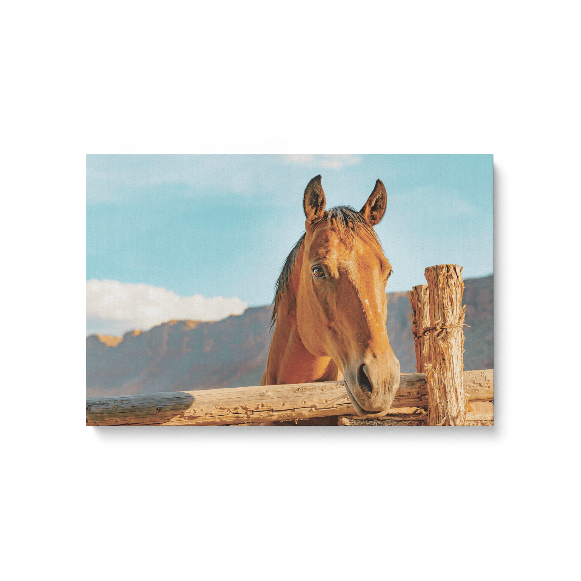 [color:Stretched Canvas], Picture of the corner of the canvas