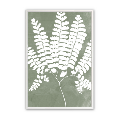 [Color:Opaque White],