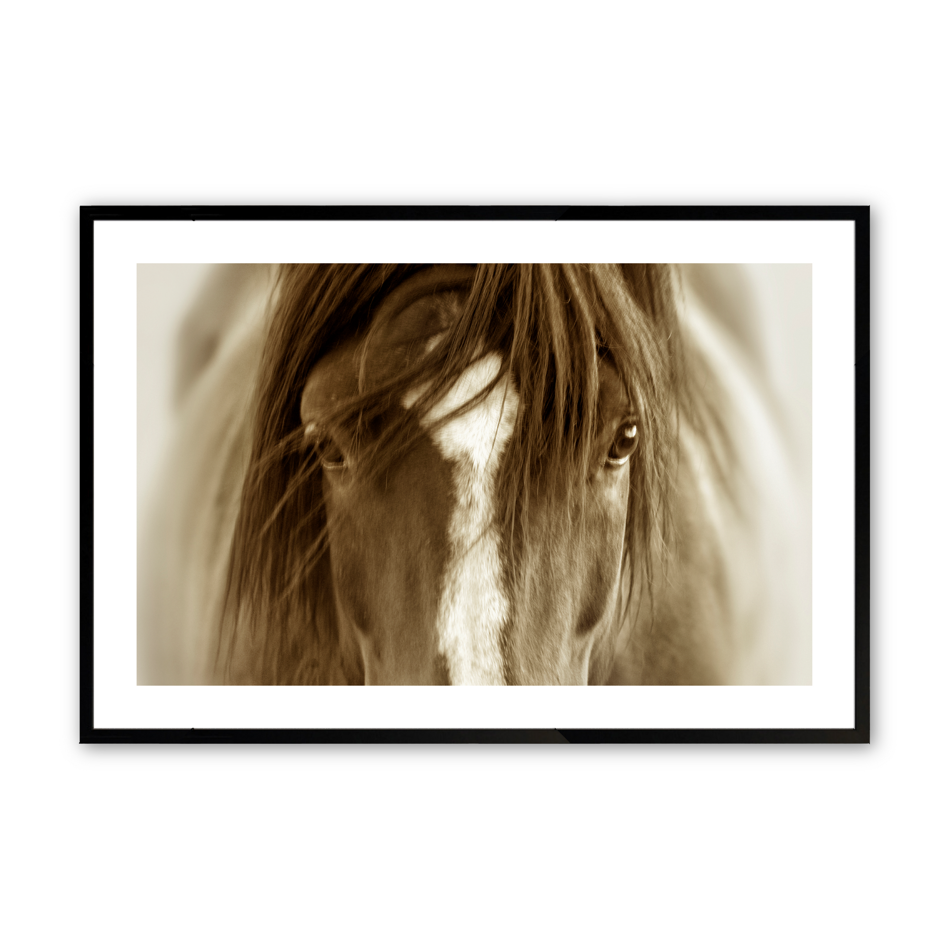 [Color:Satin Black],[SPECIAL], Front image of the art