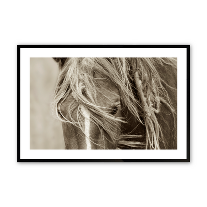 [Color:Satin Black],[SPECIAL], Front image of the art