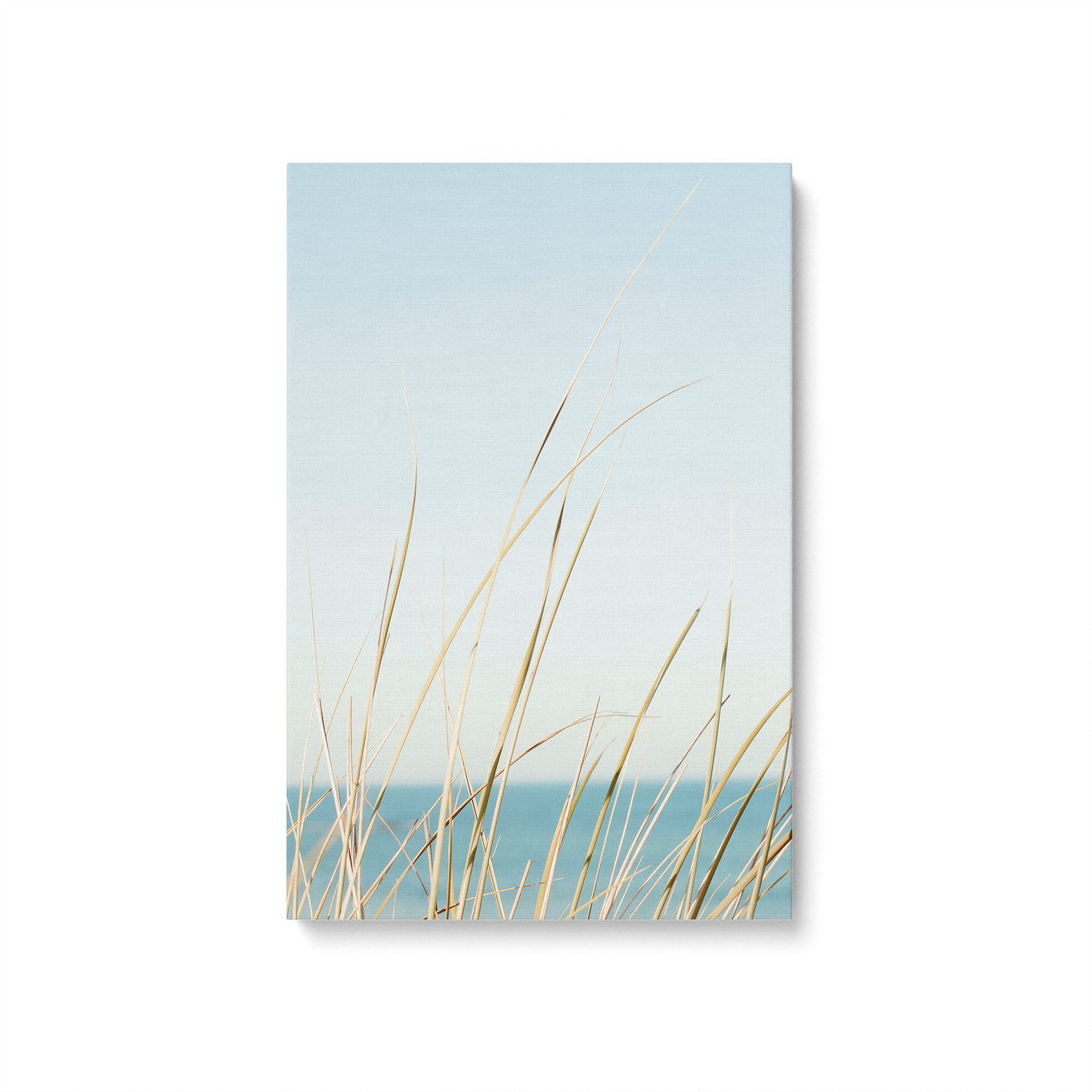 [Color:Stretched Canvas], Picture of art