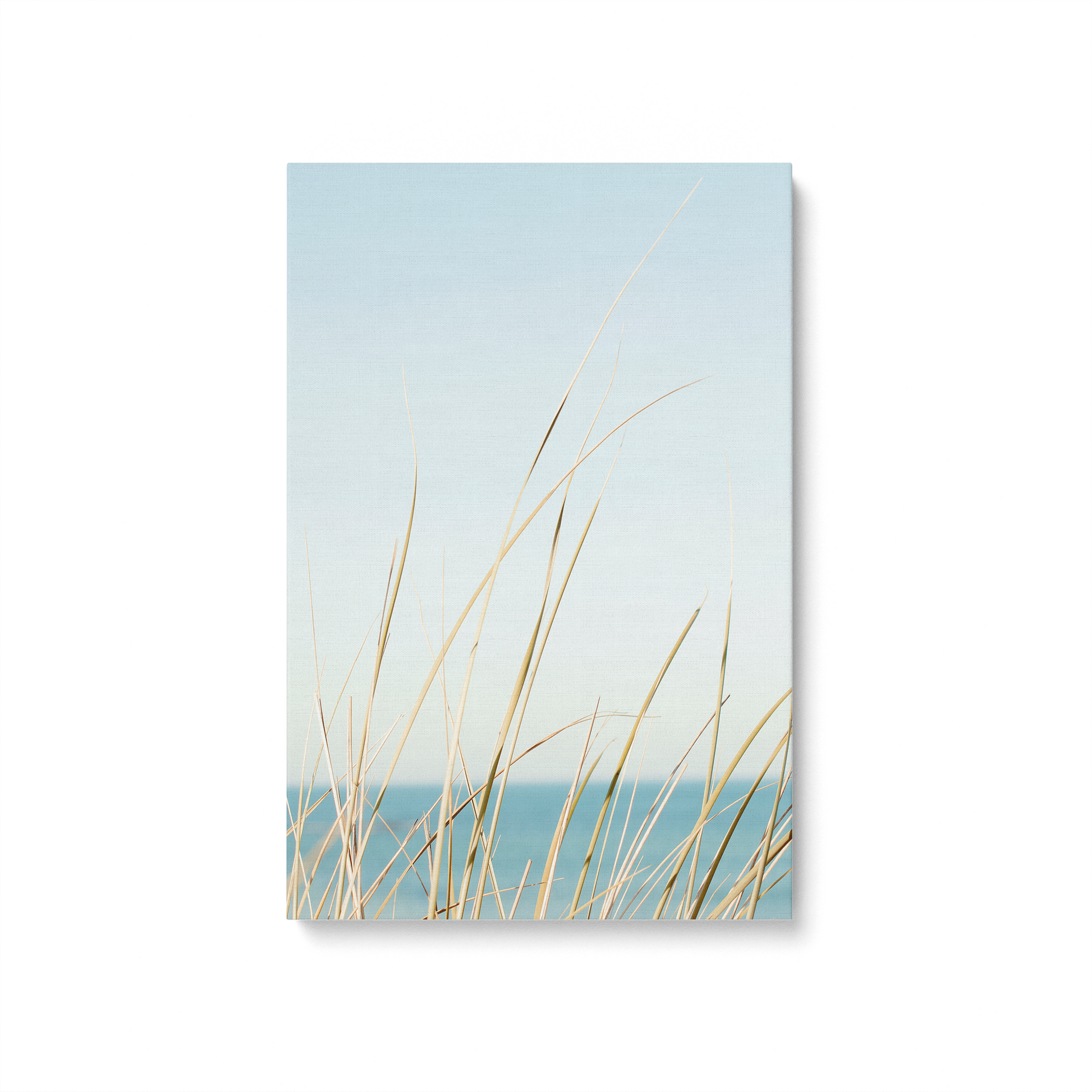 [Color:Stretched Canvas], Picture of art